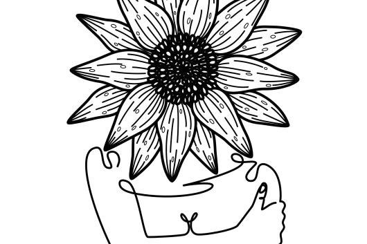 Tournesol - noir